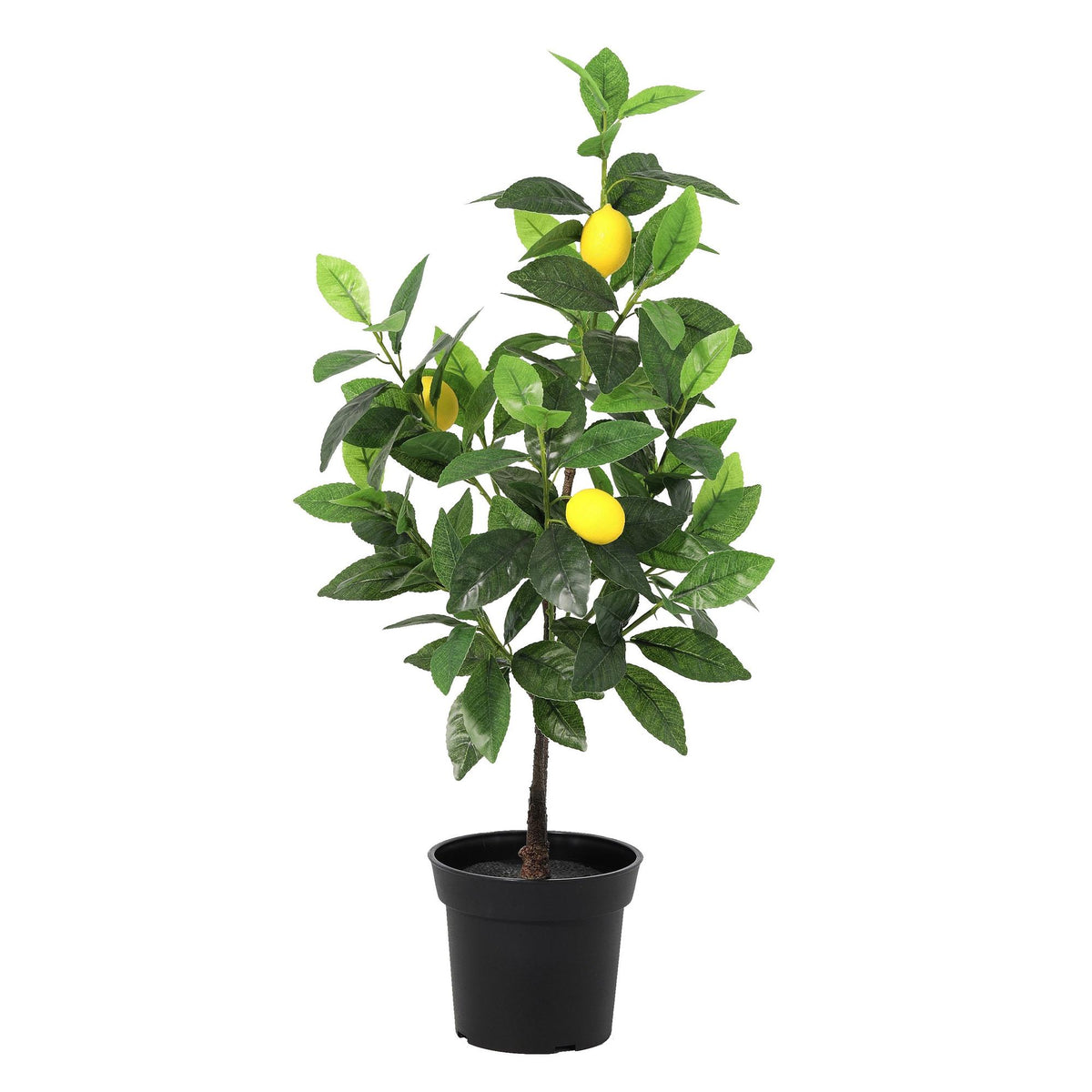 Kunstpflanze Zitronenbaum von Everspring, 65cm oder 150cm hoch, mit grünen Blättern und gelben Zitronen, realistisch aus Kunststoff gefertigt