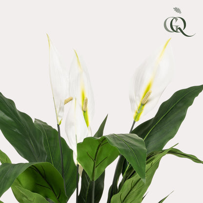 Kunstpflanze Einblatt (Spathiphyllum) 90 cm von Everspring, detailreiche grüne Pflanze mit weißen Blüten, dekorativ und pflegeleicht