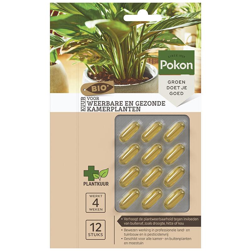 Bio Cure für widerstandsfähige und gesunde Zimmerpflanzen Kapseln - 12 Stück - Wurzelwerk Design