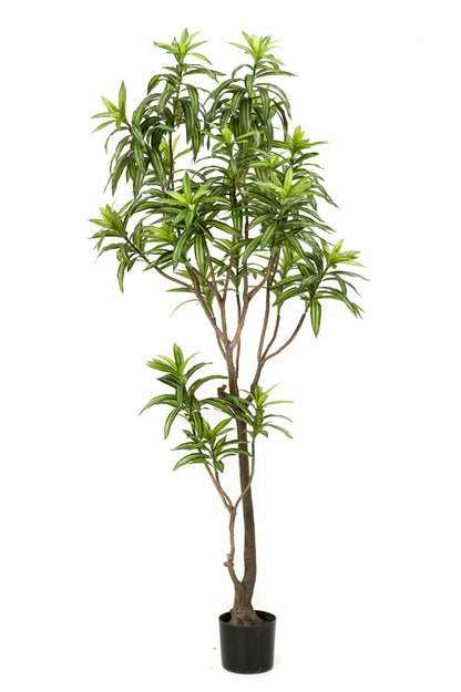 Kunstpflanze Drachenbaum von Everspring, 130 cm, 155 cm oder 190 cm, realistisch aussehende grüne Pflanze.