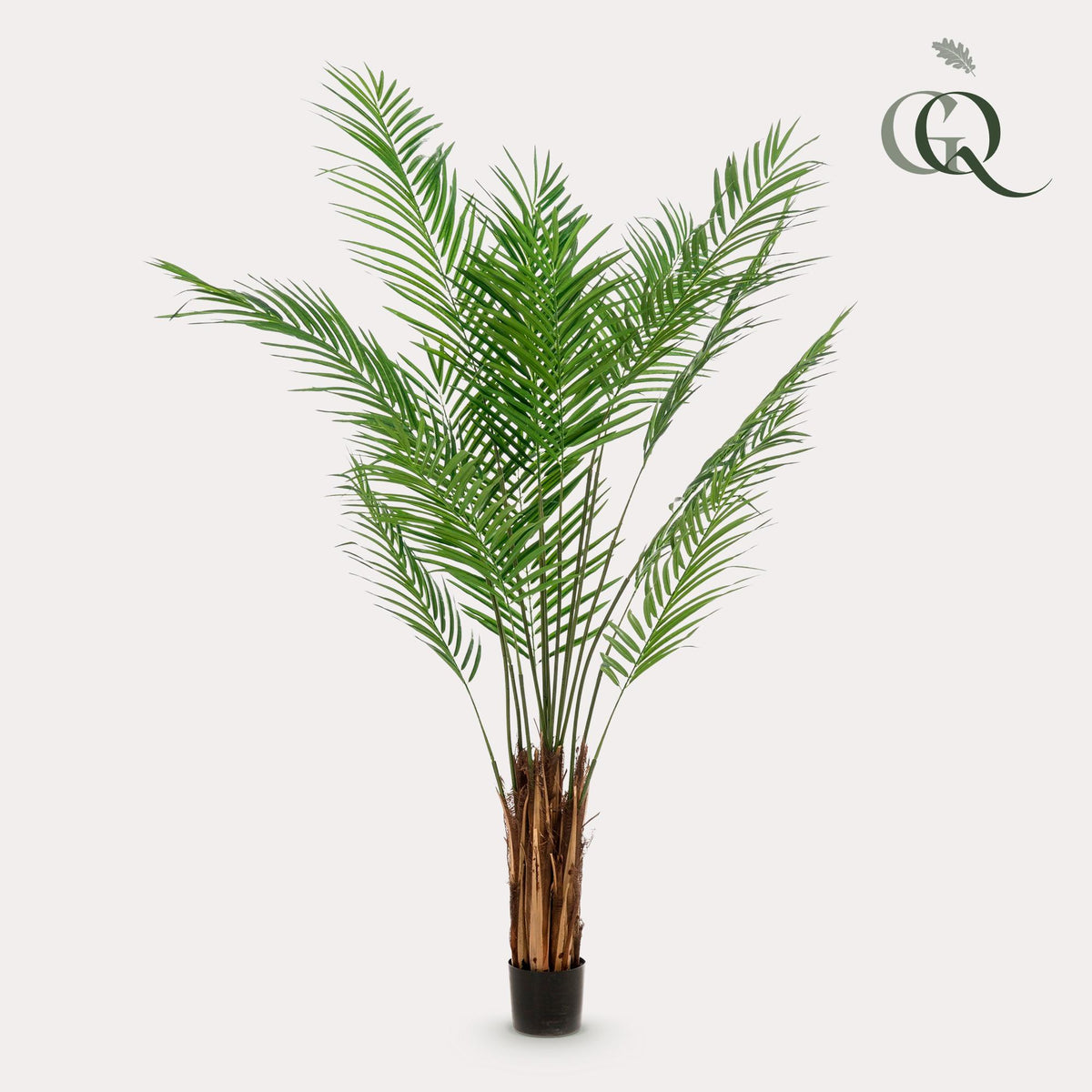 Everspring Kunstpflanze Areca Lutescens, Goldpalme, 180cm oder 240cm, mit grünen Blättern, als Zimmerpflanze.
