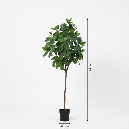 Kunstpflanze Magnolia, 190 cm, Everspring, detailreiche grüne Blätter und blühende Magnolia-Blüten als Dekorationspflanze