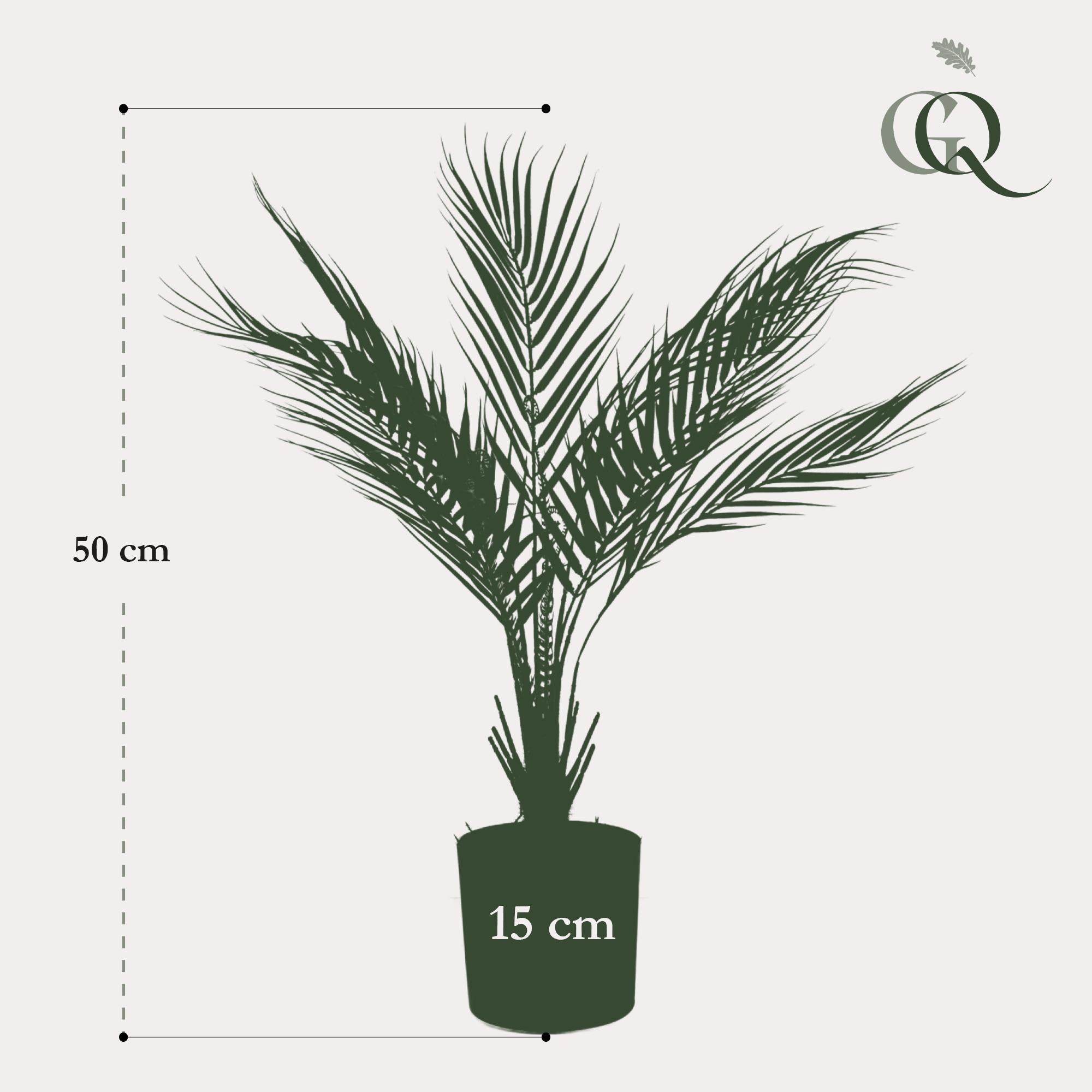 Kunstpflanze Chamaedorea Elegans, Bergpalme, 50 cm, Everspring, detailreiche grüne Kunstpflanze für Innenräume