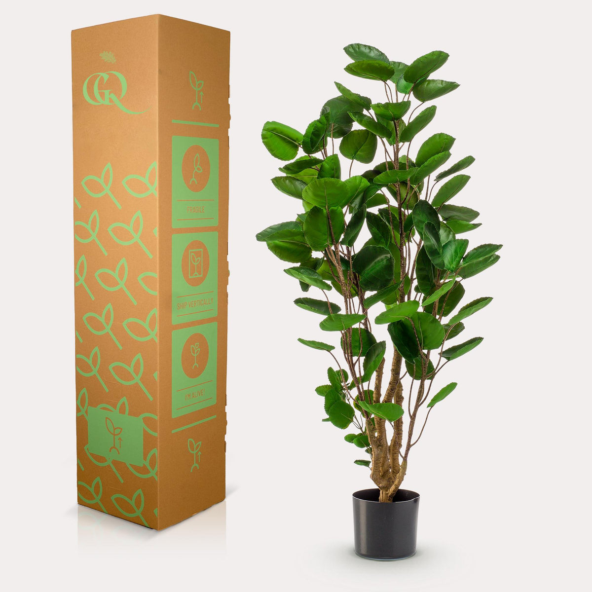 Kunstpflanze Polyscias Aralia von Everspring, 150 cm hoch, grüne Blätter, realistische dekorative Zimmerpflanze