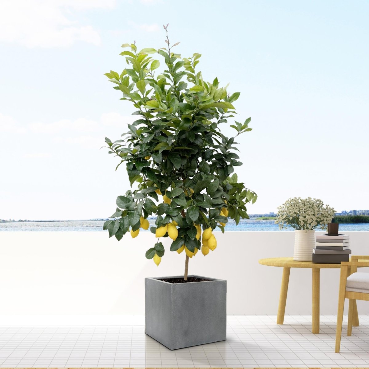 Block Grey - S - D30 x H30 - Wurzelwerk Design