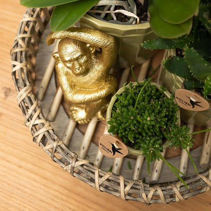 Deko - Skulptur Sitzender Affe - Gold - Wurzelwerk Design