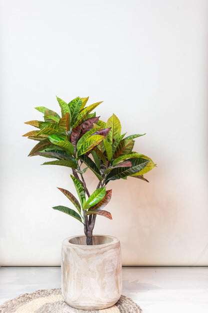 Kunstpflanze Croton Codiaeum, Wunderstrauch, Everspring, 95cm oder 120cm, detailreiche, lebensechte Dekorationspflanze