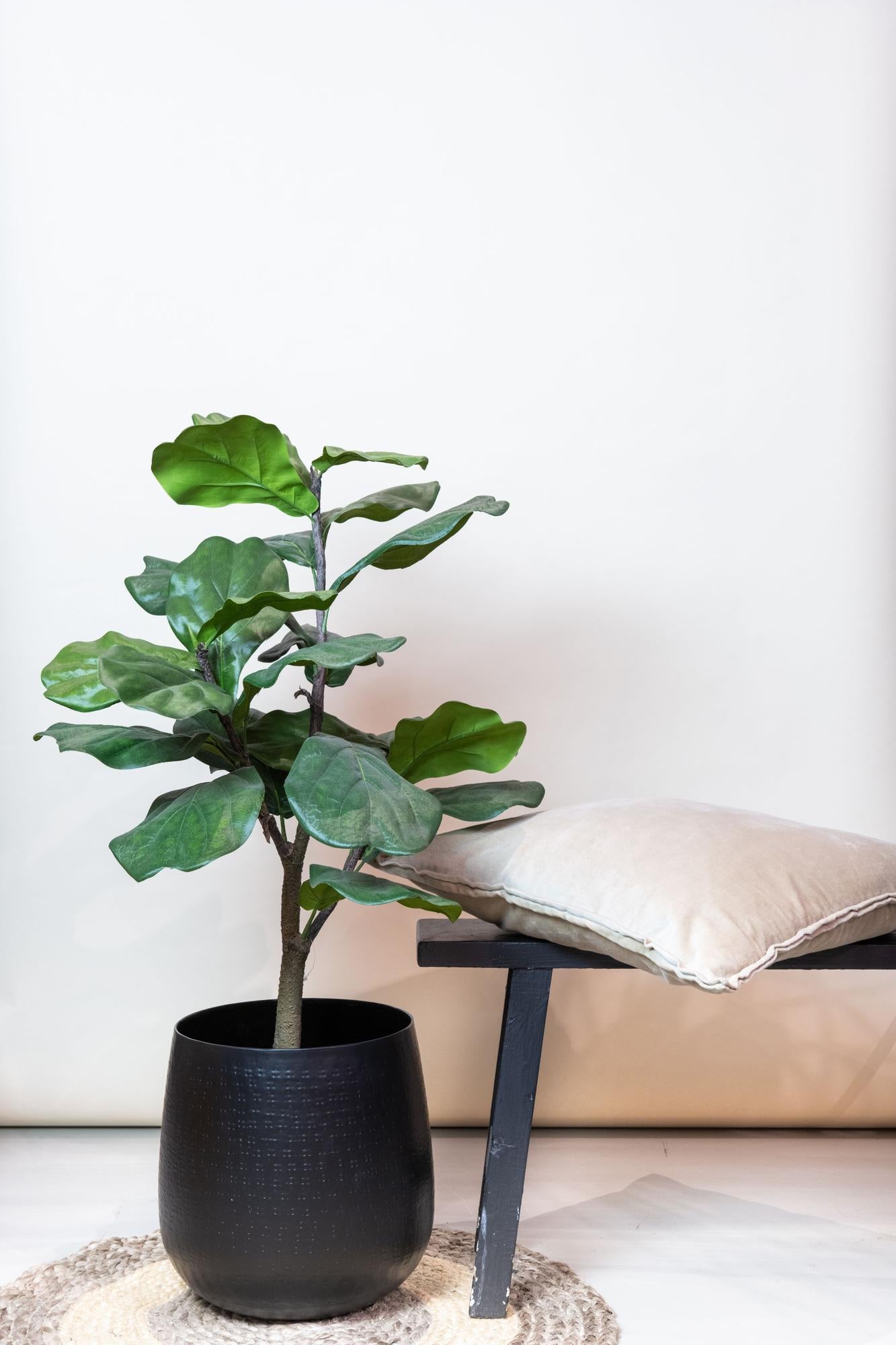 Everspring Kunstpflanze Ficus Lyrata, 90-180 cm, künstliche Geigenfeige mit grünen Blättern, realistische Pflanzen-Deko