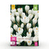 Blumenzwiebeln Crocus White | 30 Stück Weiß – Zwiebelgröße 7/8 – XXL Pack - Wurzelwerk Design