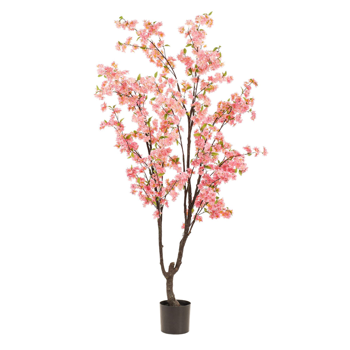 Kunstpflanze Kirschblüte Rosa, 210 cm hoch, Everspring, detailreiche blühende Pfanze in Top-Ansicht