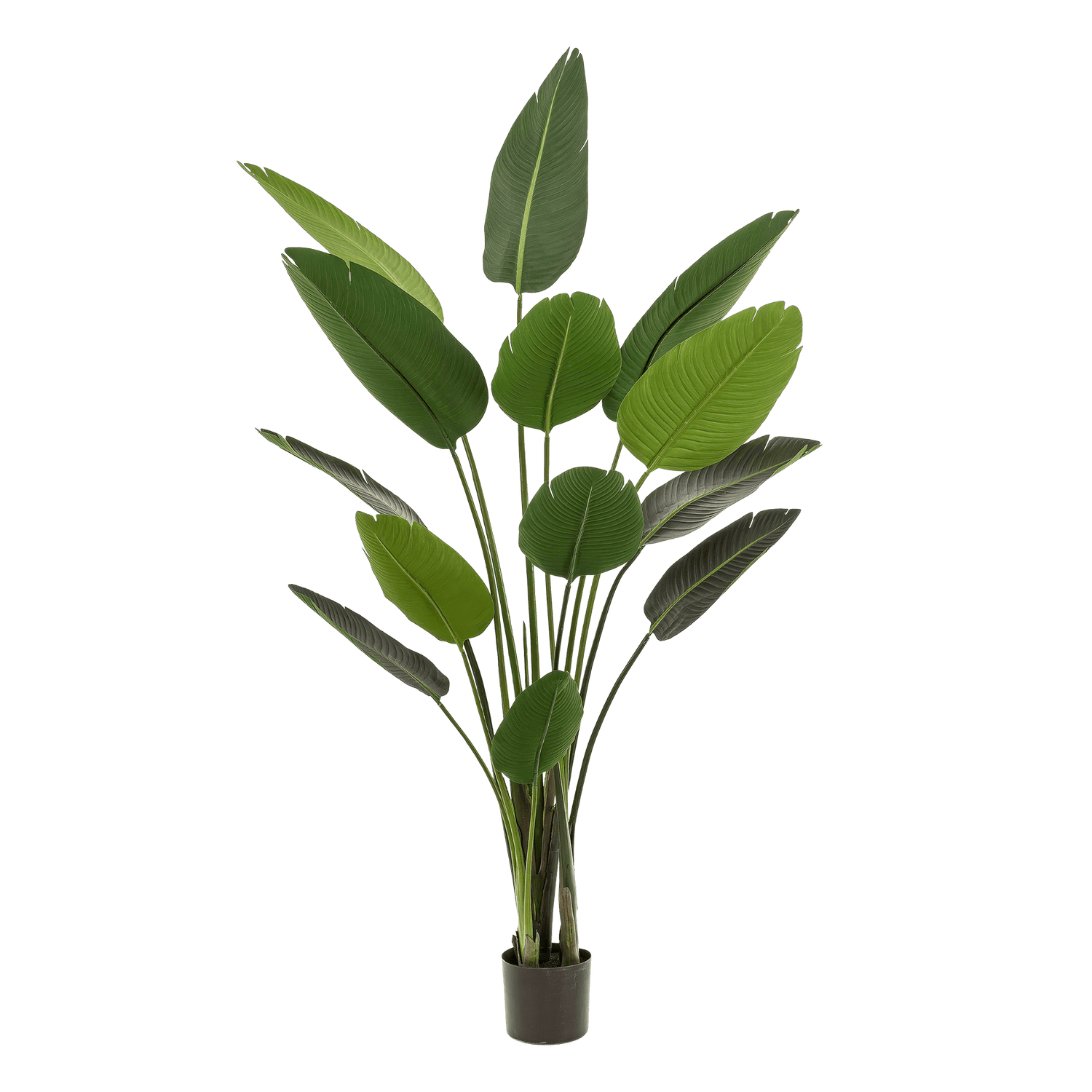 Kunstpflanze Strelitzia Nicolai von Everspring, Paradiesvogelblume, in verschiedenen Größen 120-190 cm, detailreiche künstliche Pflanze