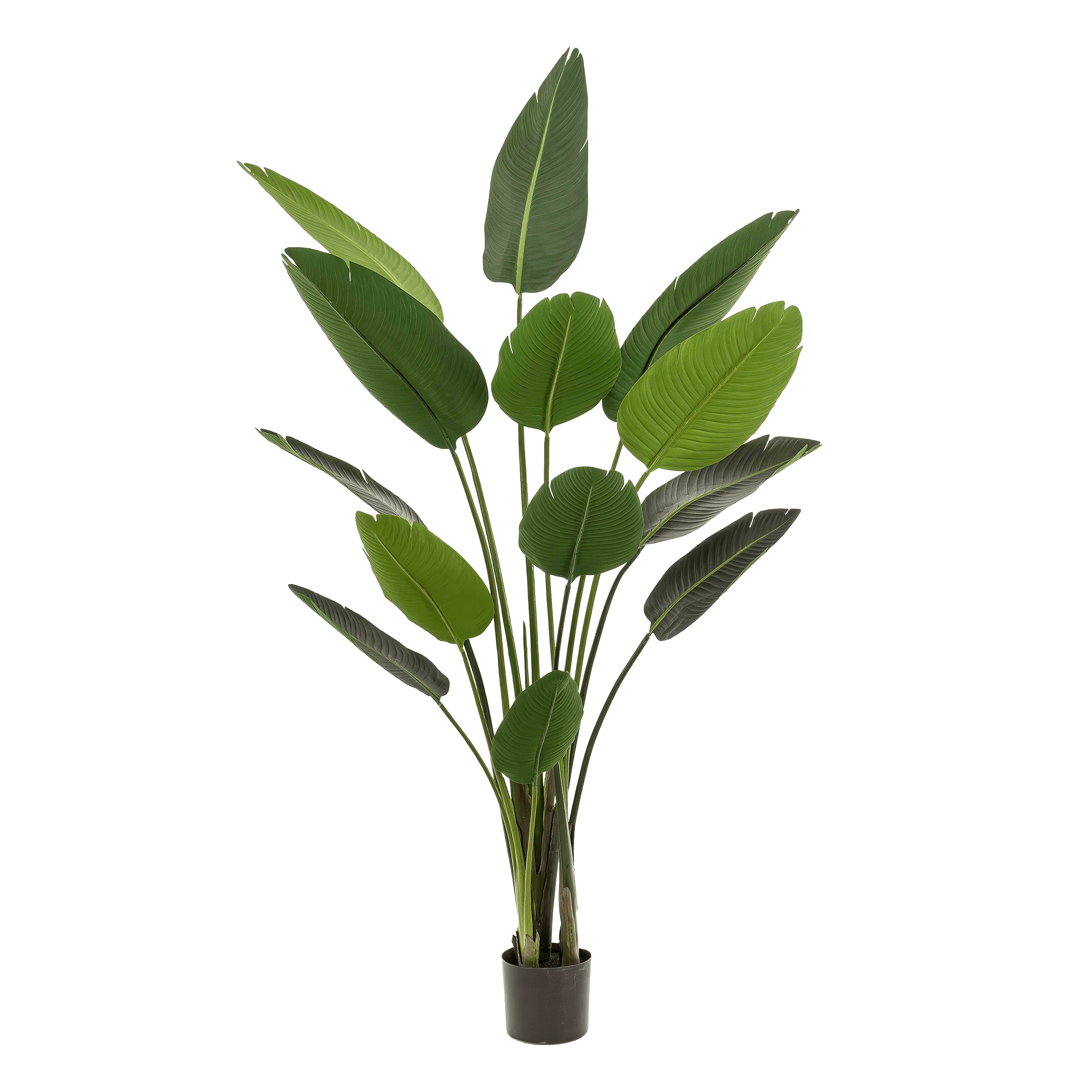 Kunstpflanze Strelitzia Nicolai von Everspring, Paradiesvogelblume, in verschiedenen Größen 120-190 cm, detailreiche künstliche Pflanze