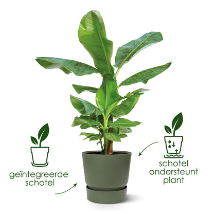 Topf elho Greenville Round schwarz - D24 x H23