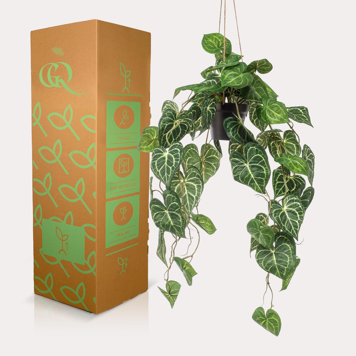 Kunstpflanze Anthurium Clarinervium von Everspring, 80 cm hohe, detailreiche Plastpflanze mit grünen Blättern.