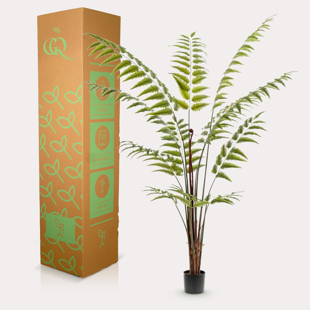Kunstpflanze Lederfarn Rumohra Adiantiformis von Everspring, 180 cm hohe, realistisch aussehende Zimmerpflanze