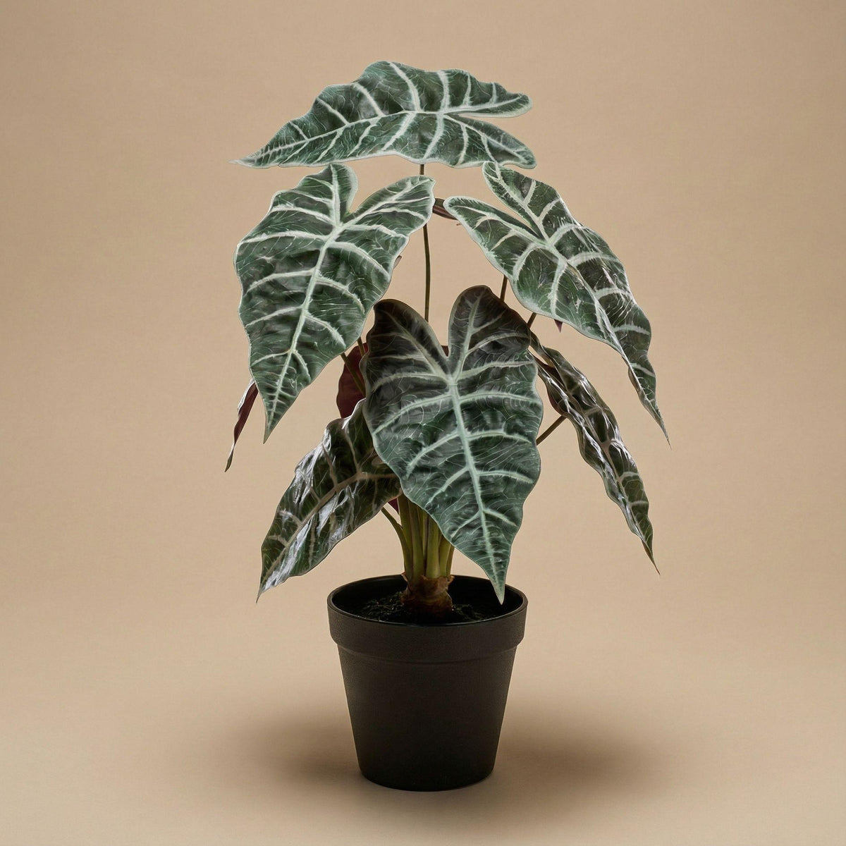 Künstliche Alocasia Busch im Topf, 40 cm hoch, mit großen grünen Blättern, Everspring Pflanzenkunst für Dekoration.