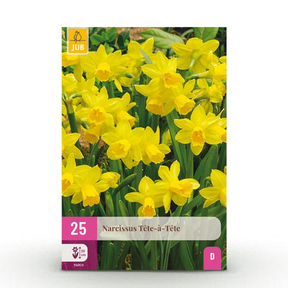 Blumenzwiebeln Narzisse Tete - A - Tete | 25 Stück Gelb – Zwiebelgröße 10/11 – XXL Pack - Wurzelwerk Design
