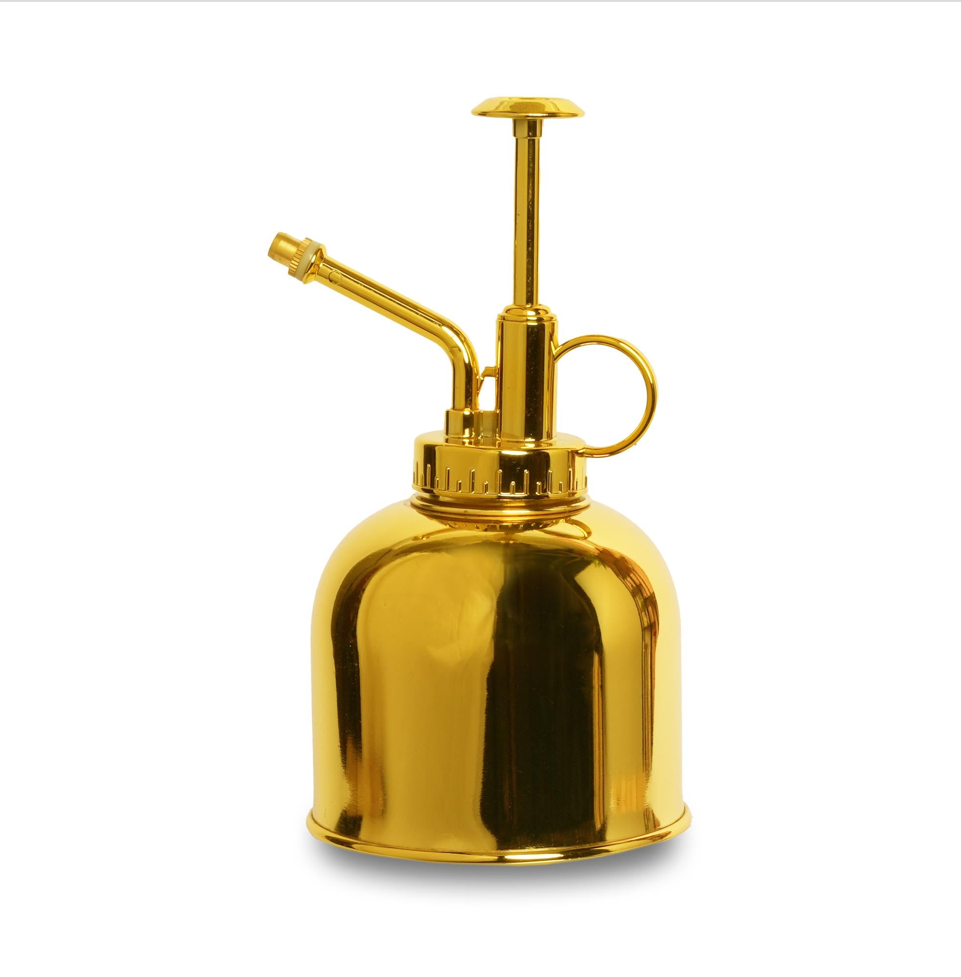 Pflanzensprüher – Edelstahl Gold – 300 ml – Hochwertige Sprühflasche für  Zimmerpflanzen