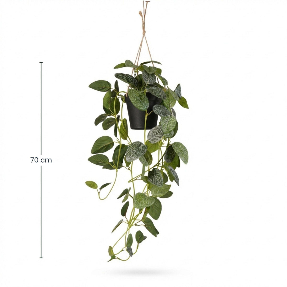 Fittonia - Hanging in pot - 70 cm - Artificial