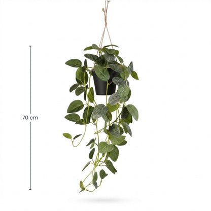 Fittonia - Hanging in pot - 70 cm - Artificial
