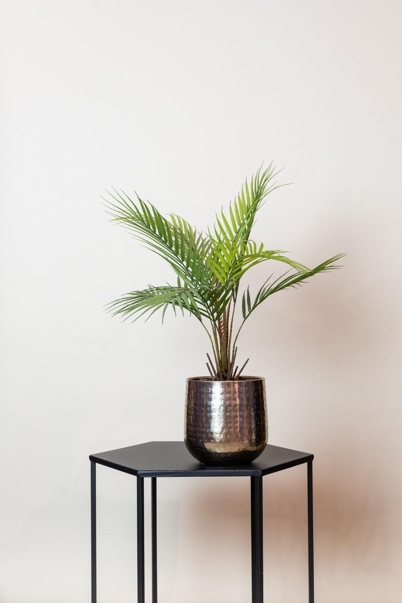 Kunstpflanze Chamaedorea Elegans, Bergpalme, 50 cm, Everspring, detailreiche, grüne Kunststoffpflanze als Zimmerdekor