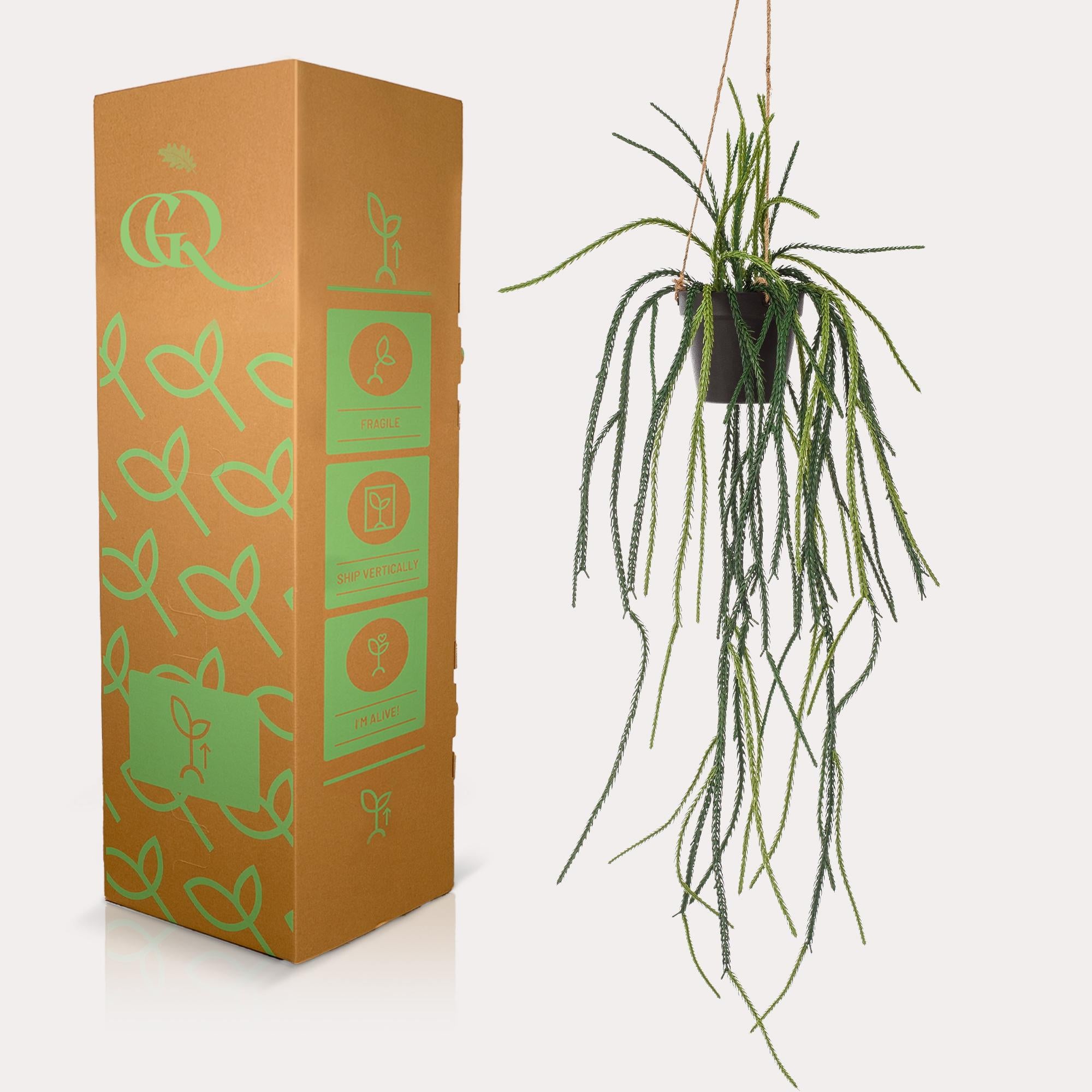 Kunstpflanze Rhipsalis, Korallenkaktus, 85 cm, Everspring, detailreiche, grüne Kunststoffpflanze als Dekoration