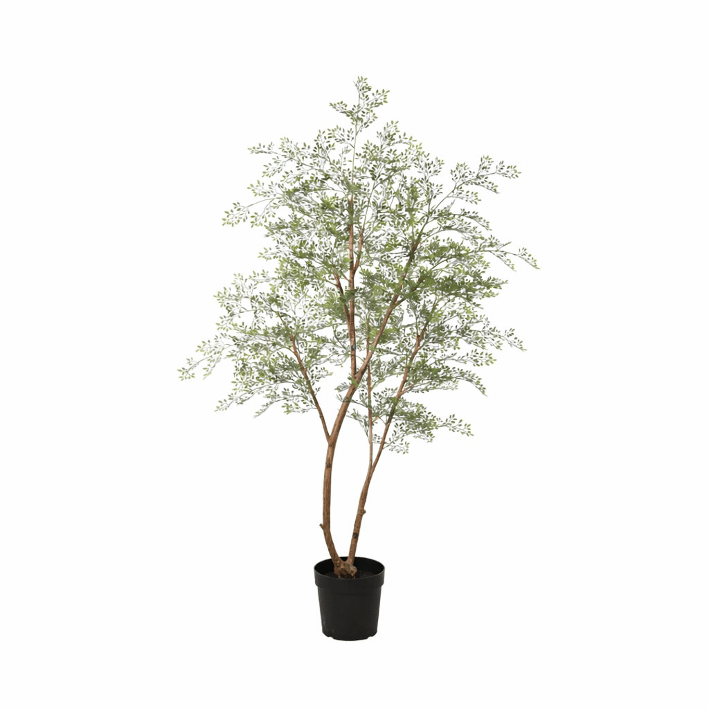 Künstlicher Cassia-Baum von Everspring, 180 cm hoch, mit grünen Blättern und natürlicher Baumform, perfekt für Innenräume.