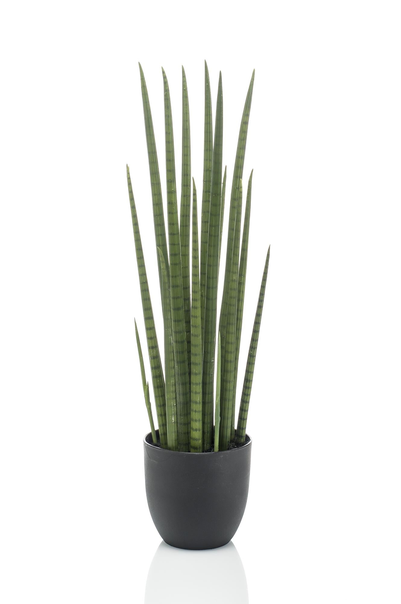 Künstliche Sansevieria Cylindrica Frauenzunge Pflanze, 70cm, Everspring, dekorative Zimmerpflanze in Topf