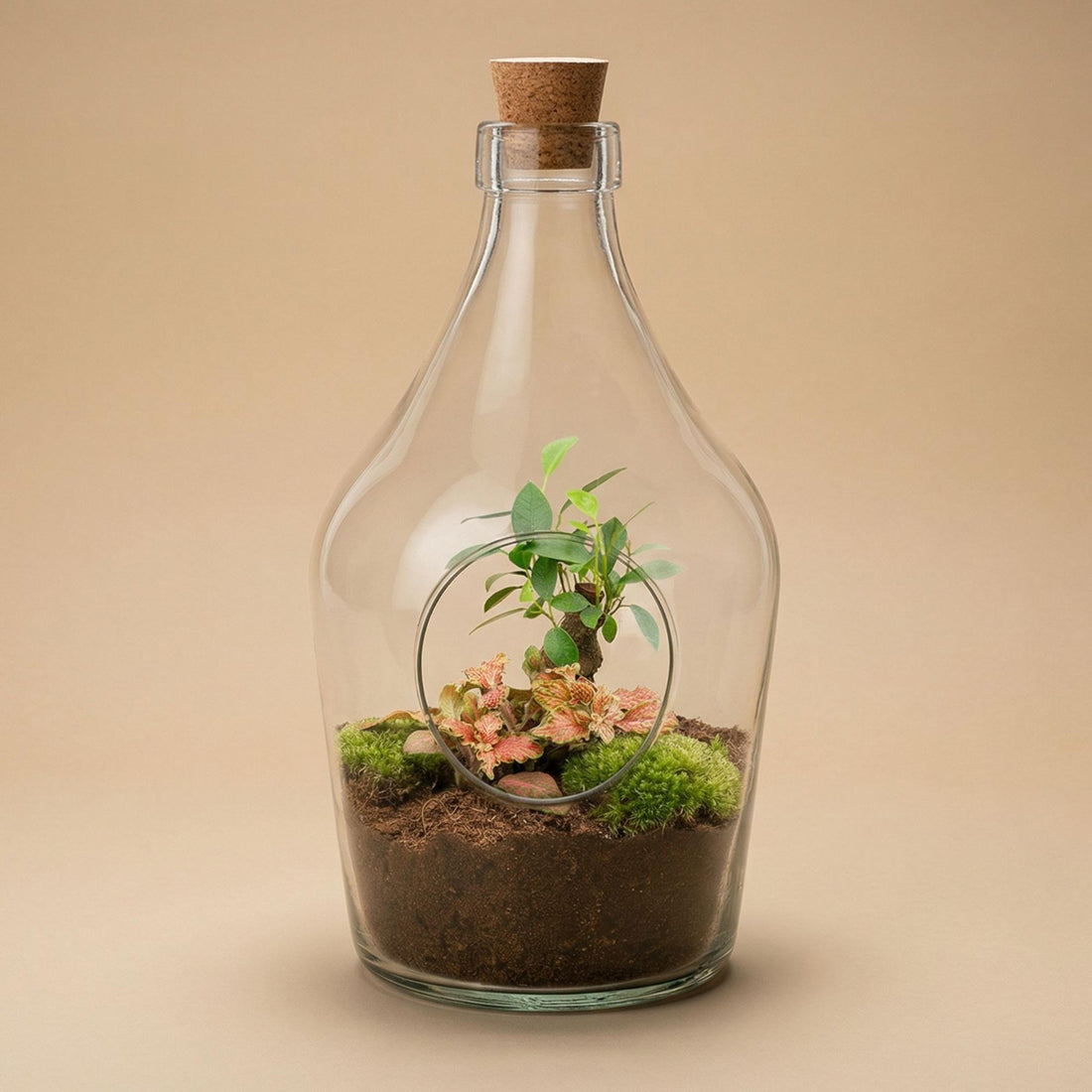 Open terrarium John - Bonsai &amp; Ruby Lime  ↑ 30 cm