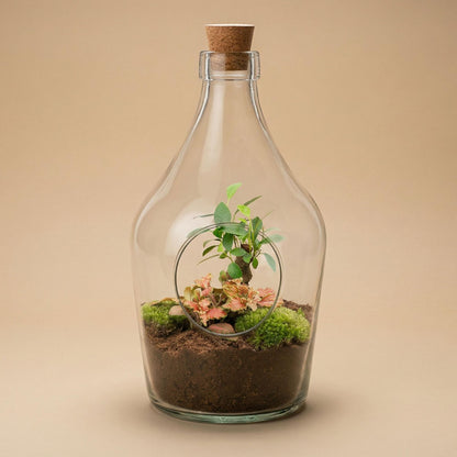 Open terrarium John - Bonsai &amp; Ruby Lime  ↑ 30 cm