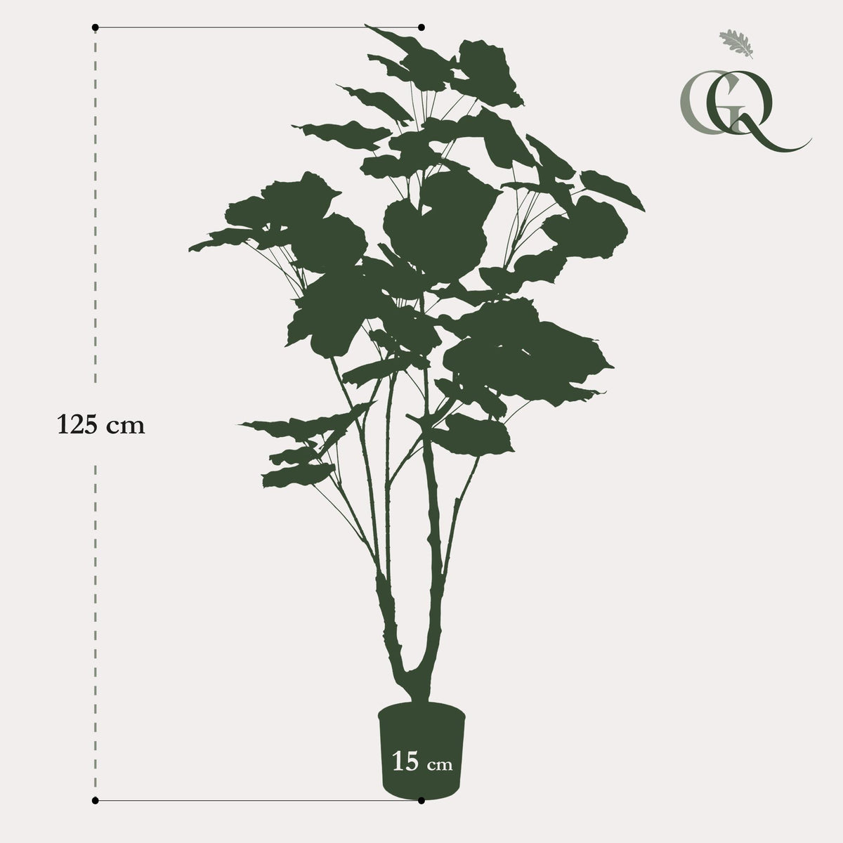 Künstliche Ficus umbellata Pflanze von Everspring, 125cm oder 180cm, mit grünen Blättern, ideal für Dekorationen.