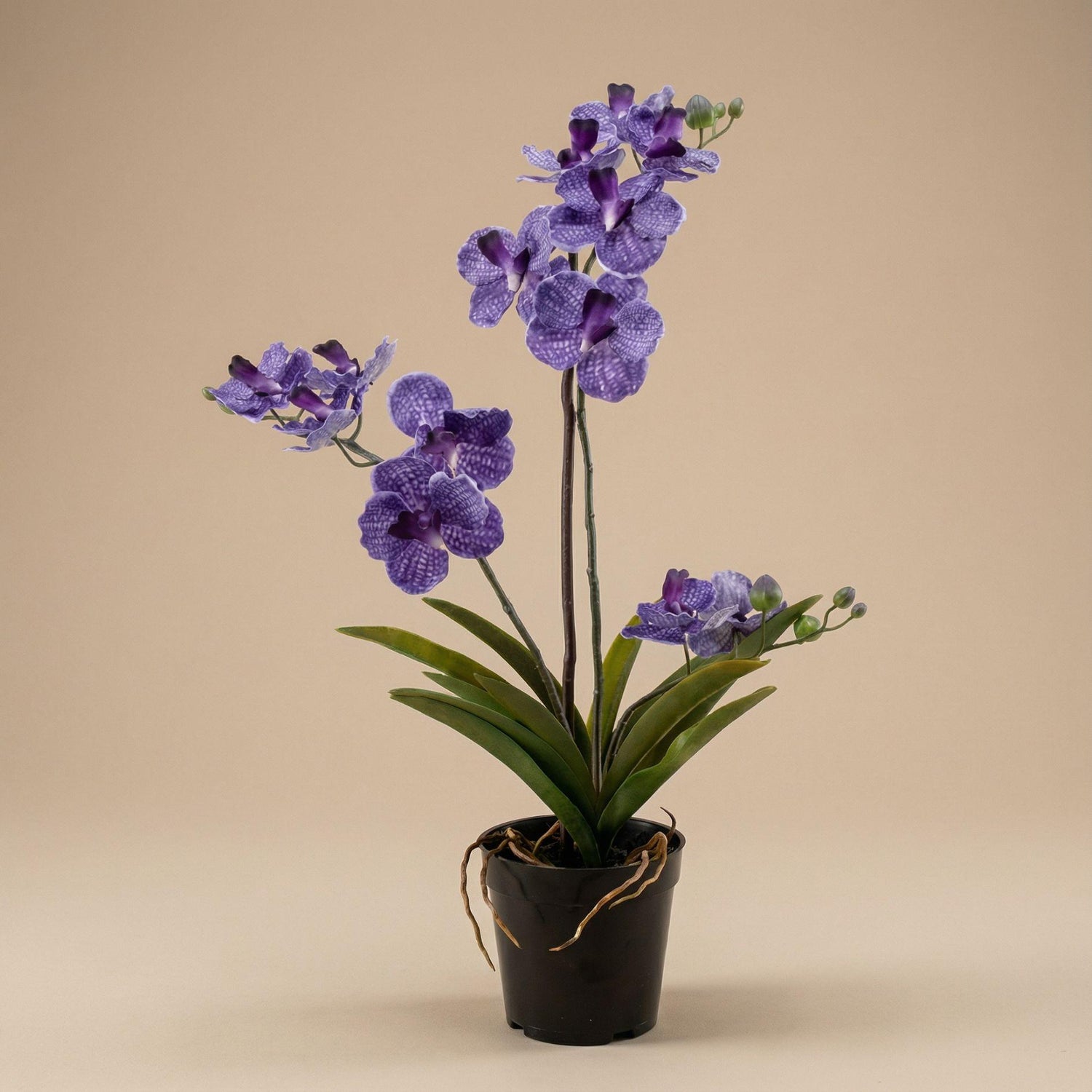 Lila künstliche Vanda Orchidee 60 cm im Topf, Everspring, detailreiche Nachbildung einer echten Orchidee.