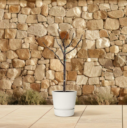 Ficus Carica – Echter Feigenbaum für Garten &amp; Terrasse - Wurzelwerk Design