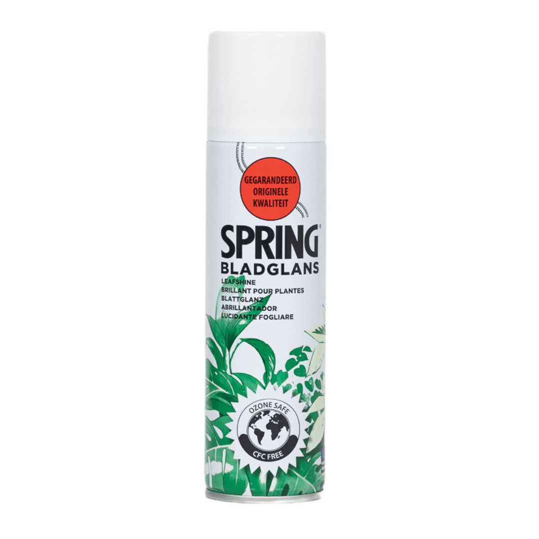 Glanz des Blattes – 250 ml – Premium Blattpflegespray für Zimmerpflanzen - Wurzelwerk Design