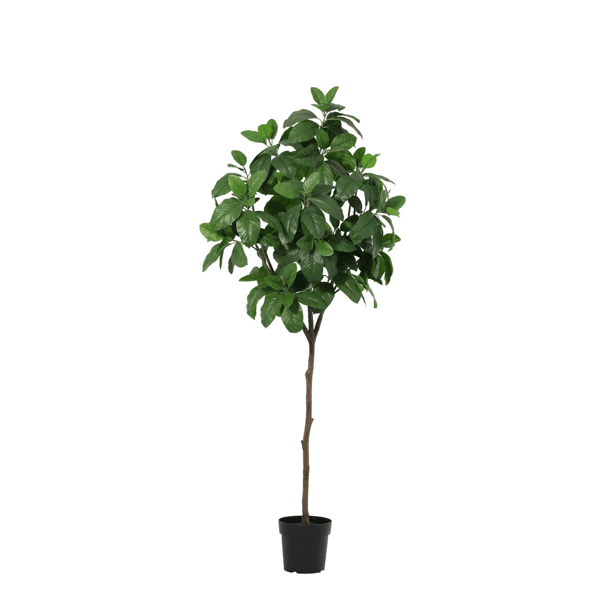 Kunstpflanze Magnolie von Everspring, 190 cm hoch, mit grünen Blättern und weißen Blüten, realistische Dekorationspflanze