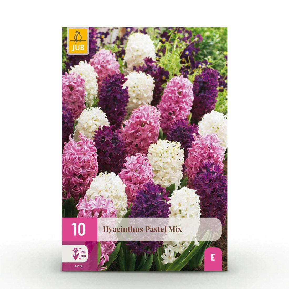 Blumenzwiebeln Hyacinth Pastel Mix | 10 Stück Pastellfarben – Zwiebelgröße 14/15 – XXL Pack - Wurzelwerk Design
