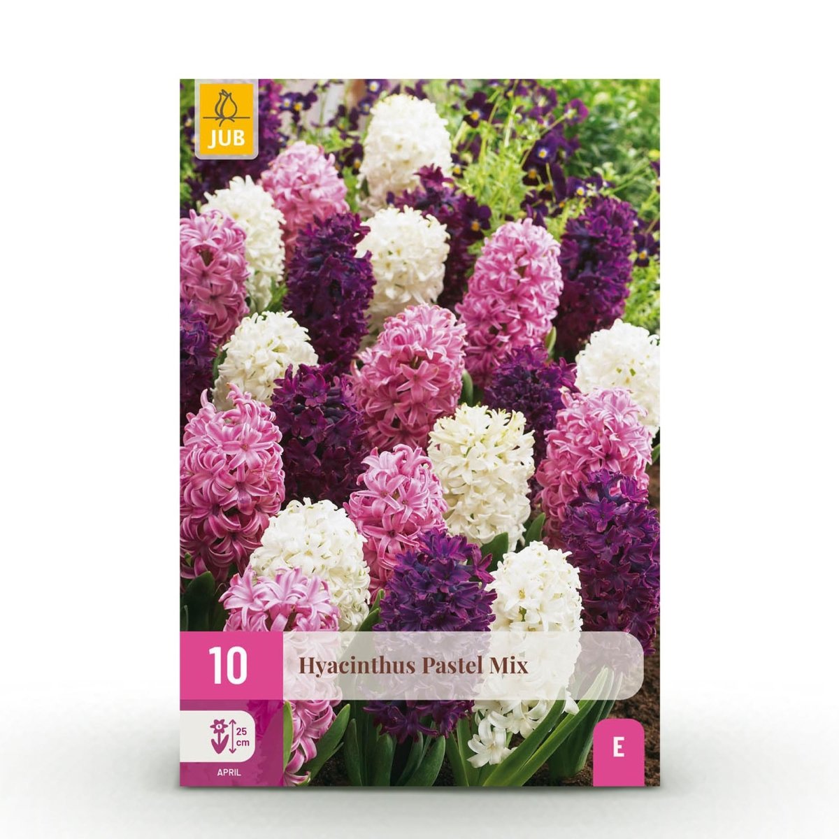 Blumenzwiebeln Hyacinth Pastel Mix | 10 Stück Pastellfarben – Zwiebelgröße 14/15 – XXL Pack - Wurzelwerk Design
