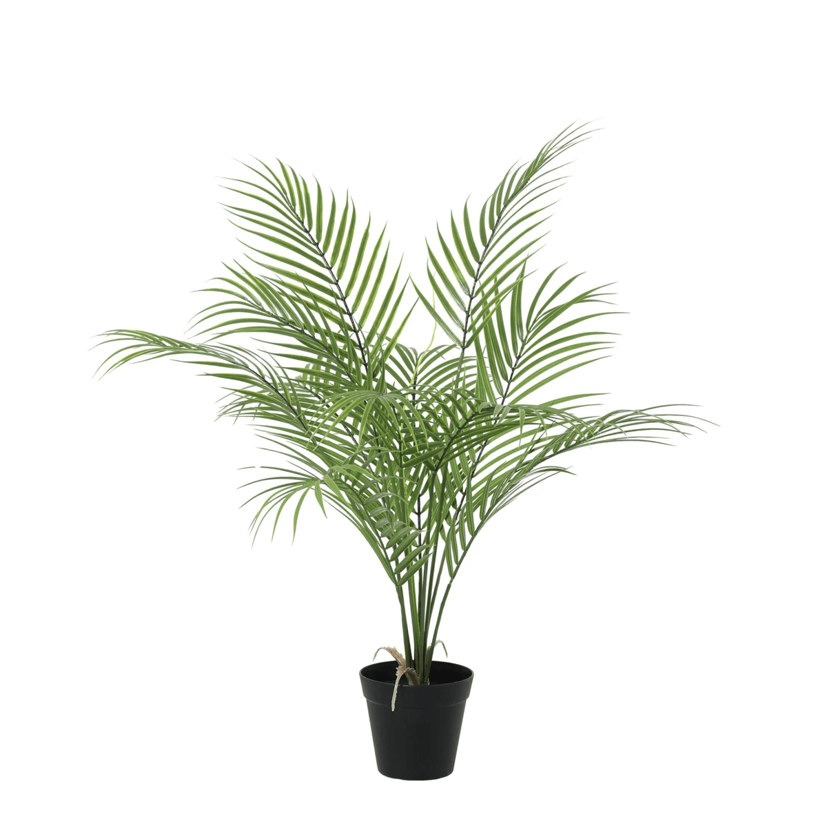 Künstliche Kentia-Palme von Everspring, 65cm bis 210cm, detailreiche, grüne Pflanzen-Deko für Zuhause oder Büro
