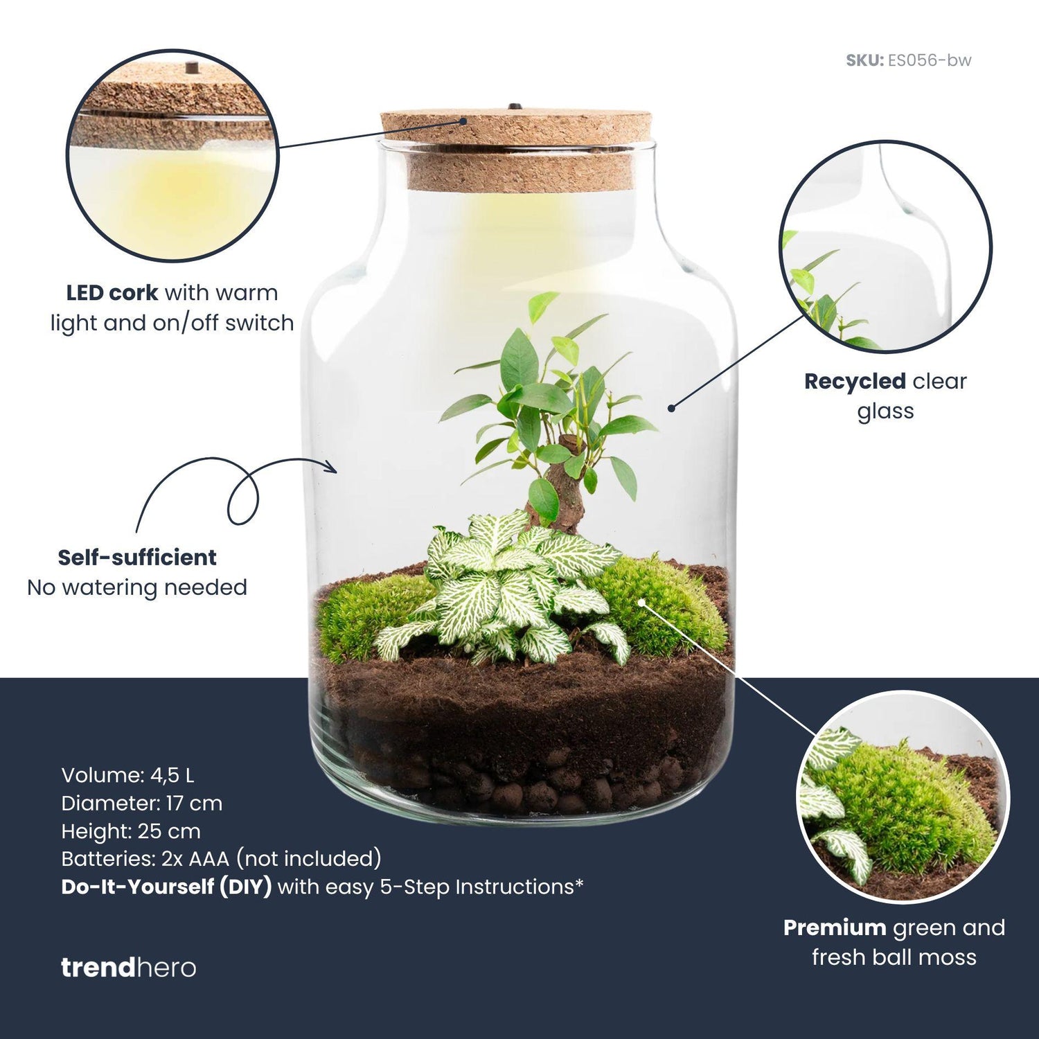 DIY-Pflanzenterrarium Little Milky Bonsai mit Beleuchtung, Durchmesser 17 cm, Everspring, auf natürlichem Untergrund.