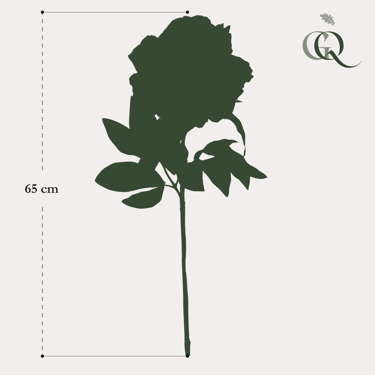Künstliche cremefarbene Pfingstrosen, 5 Stück, 65 cm hoch, Everspring, realistische Blumen für Dekoration