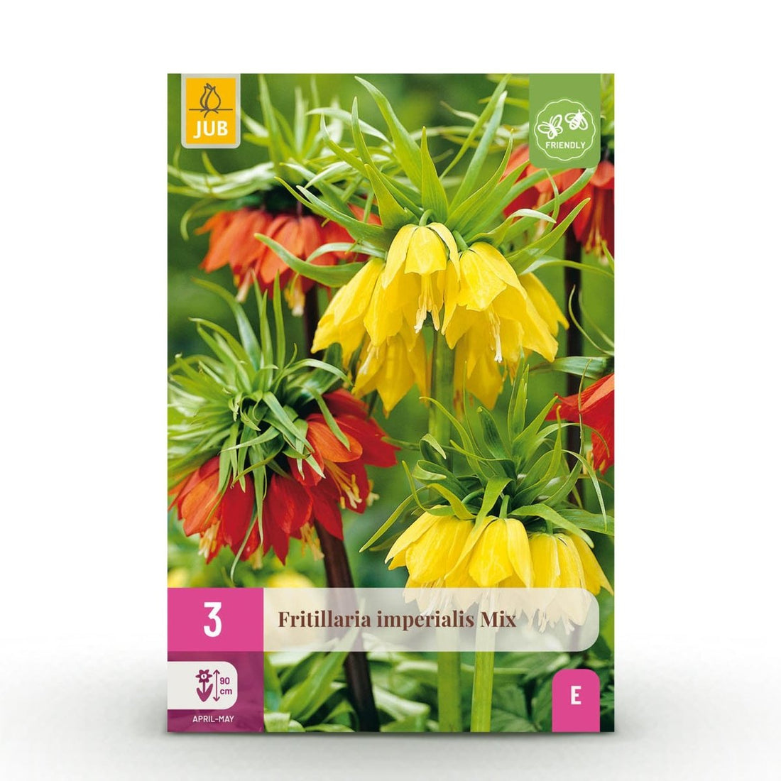 Blumenzwiebeln Fritillaria Imperialis Mix | 3 Stück Gelb &amp; Orange – Zwiebelgröße 18/20 – XXL Pack - Wurzelwerk Design
