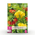 Blumenzwiebeln Fritillaria Imperialis Mix | 3 Stück Gelb & Orange – Zwiebelgröße 18/20 – XXL Pack - Wurzelwerk Design