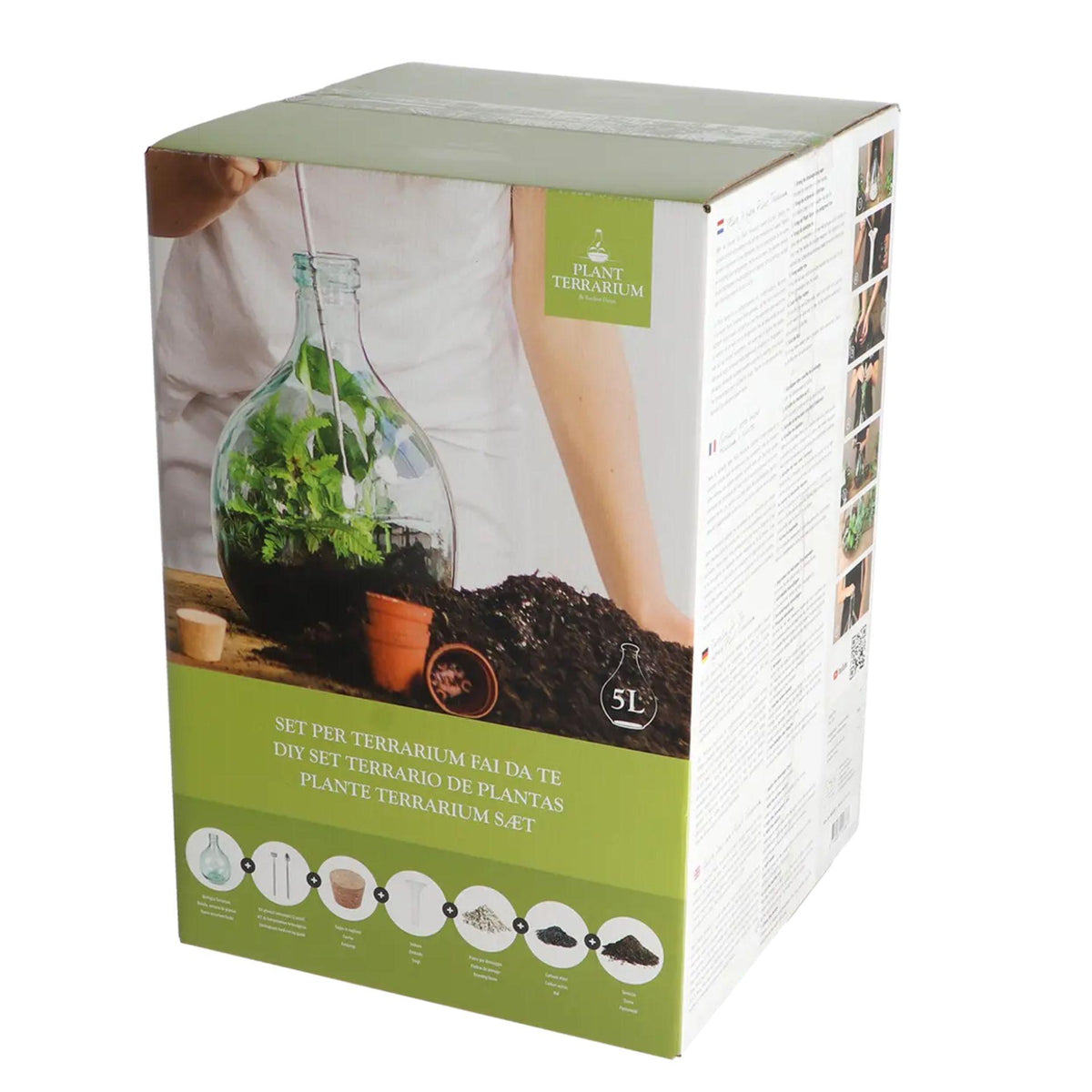 DIY-Pflanzenterrarium-Set von Everspring, 5 l, geschlossenes Ökosystem, in Geschenkbox, enthält Glaskuppel und Pflanzenmaterial