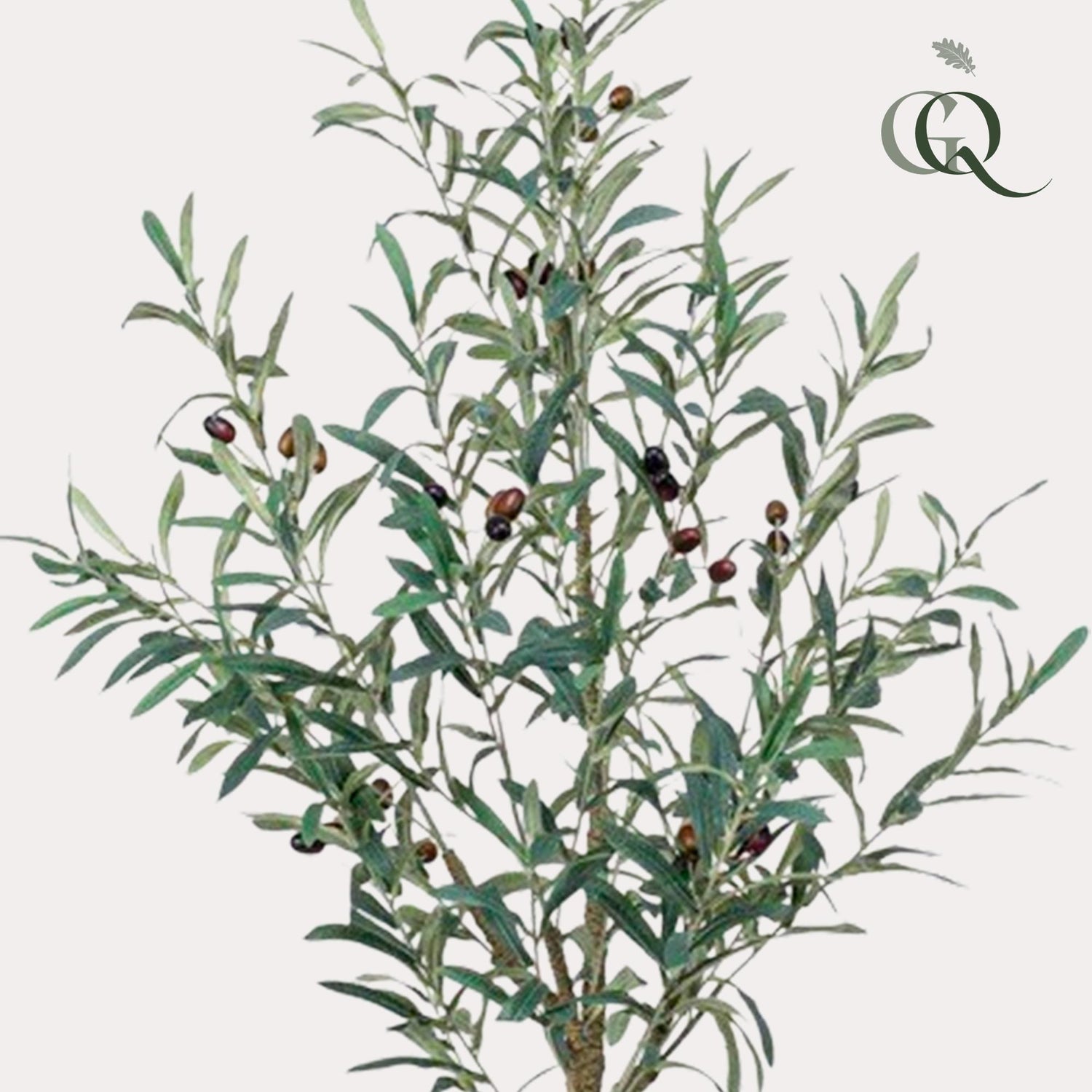 Künstlicher Olivenbaum von Everspring, 115-180 cm, detailreiche Kunstpflanze mit grünen Oliven und Blättern, realistische Optik