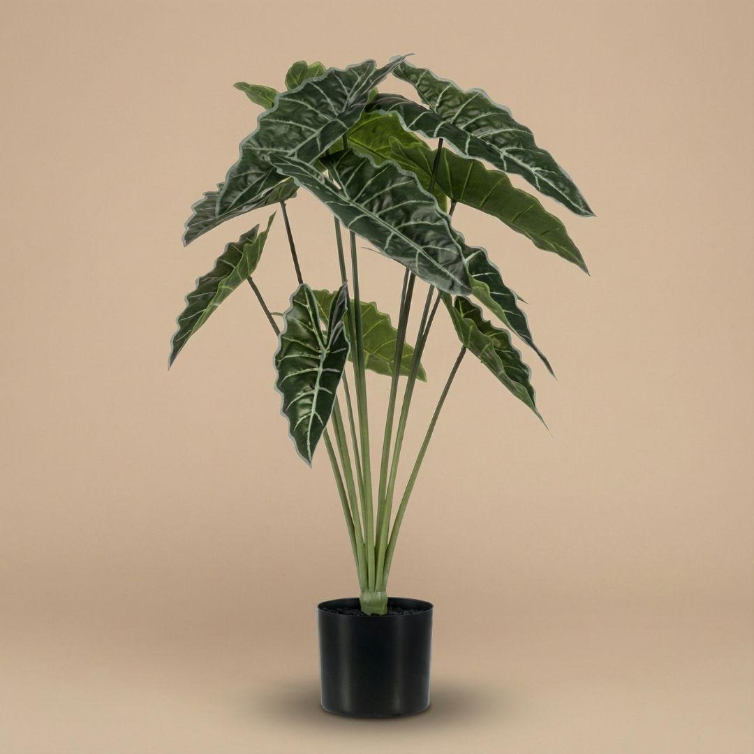 Everspring Kunstpflanze Alocasia 80 cm mit grünen Blättern, realistisches Pflanzenbild für Dekor und Raumgestaltung