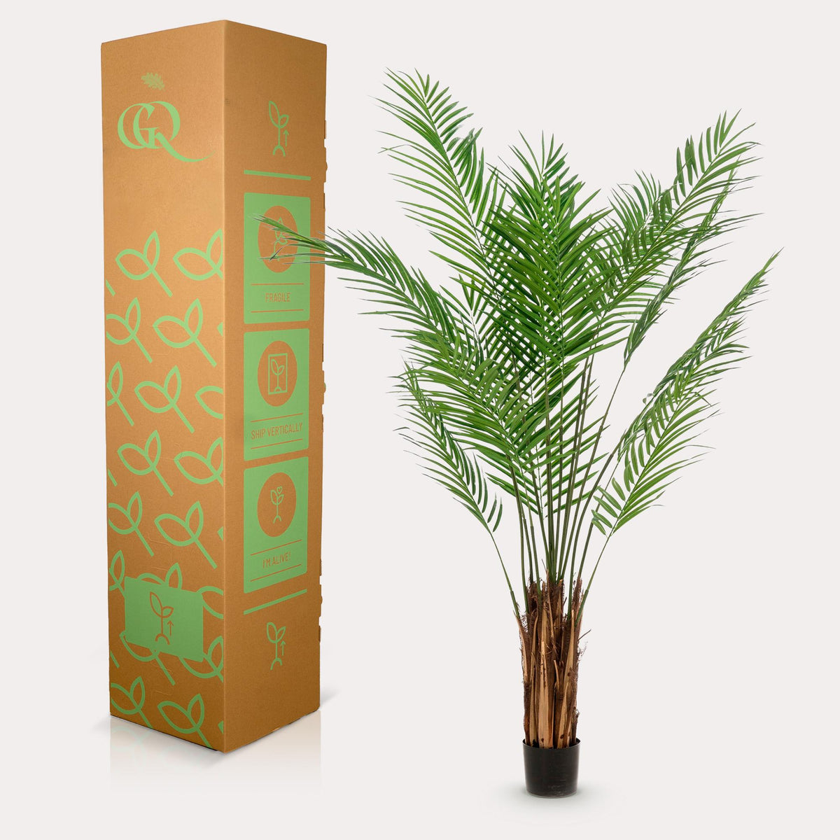 Everspring Kunstpflanze Areca Lutescens, Goldpalme, 180cm oder 240cm, realistische grüne Pflanze für Innenräume