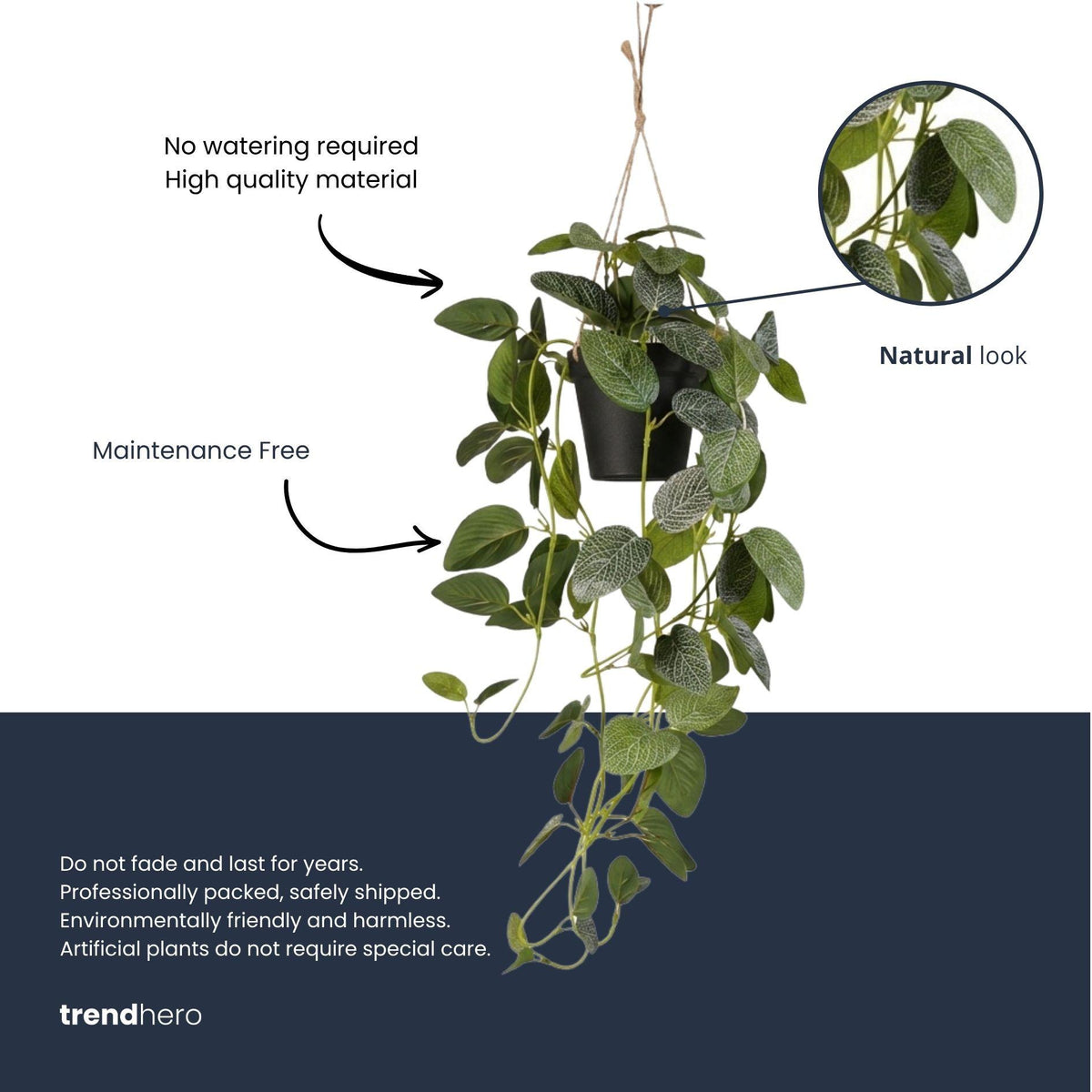Fittonia - Hanging in pot - 70 cm - Artificial