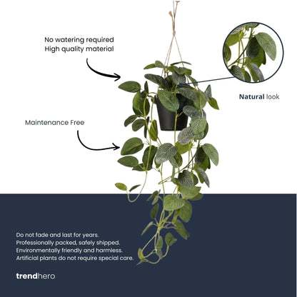 Fittonia - Hanging in pot - 70 cm - Artificial