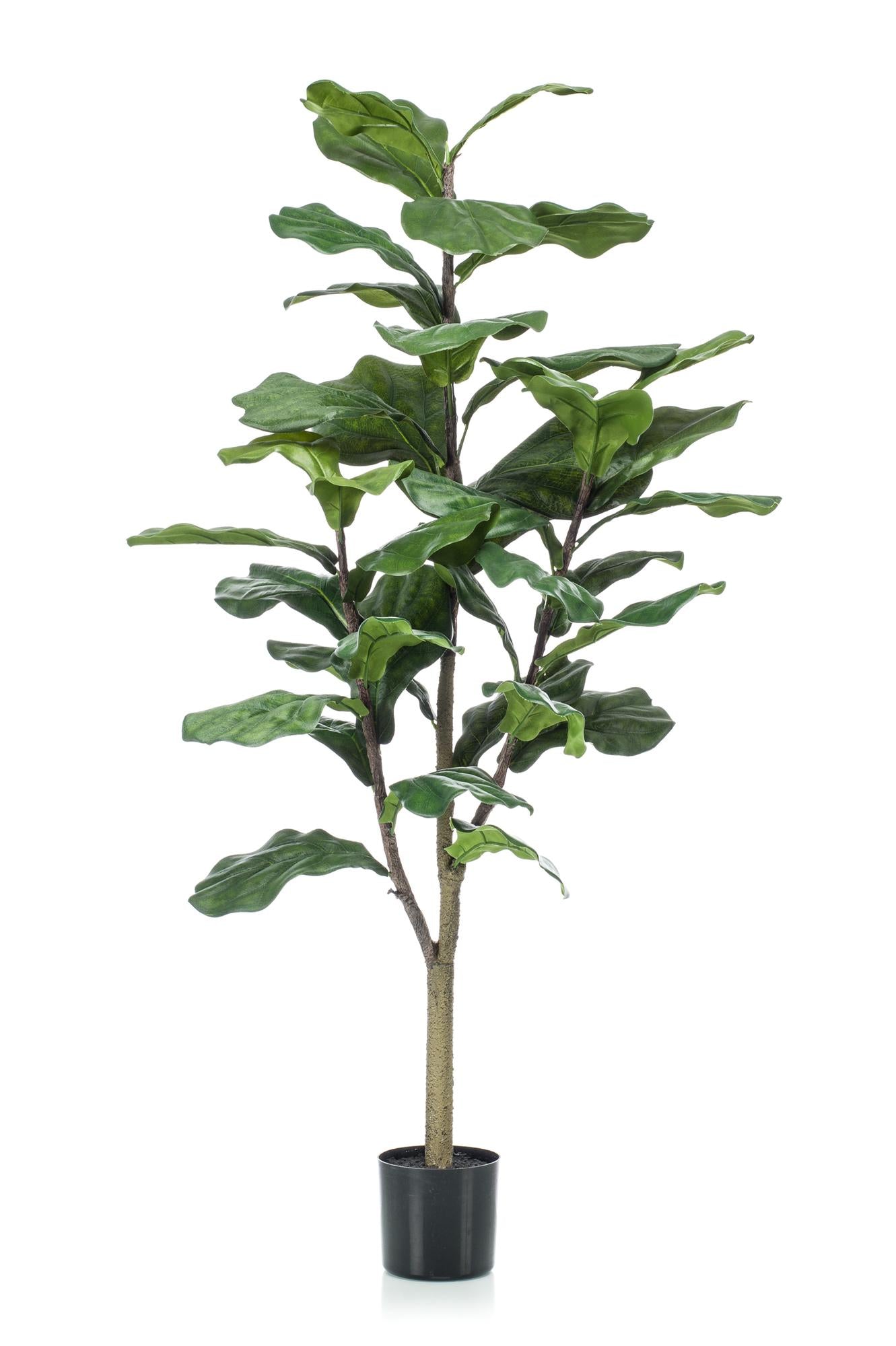 Kunstpflanze Ficus Lyrata, Geigenfeige, Everspring, 90–180 cm, realistische grüne Pflanze als Zimmerdekor.