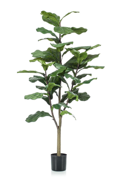 Kunstpflanze Ficus Lyrata, Geigenfeige, Everspring, 90–180 cm, realistische grüne Pflanze als Zimmerdekor.